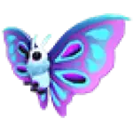 Moonlight Moth