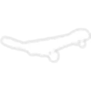 Neon White Skateboard