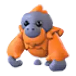 Orangutan