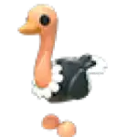Ostrich