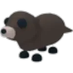 Otter