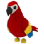 Parrot