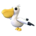 Pelican