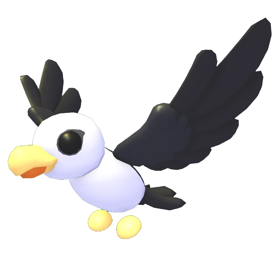 Pilot Gull