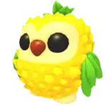 Pineapple Owl