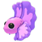 Pink Betta Fish