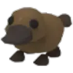 Platypus