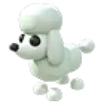 Poodle