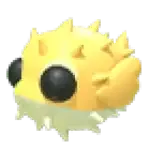 Puffer Fish