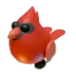 Red Cardinal