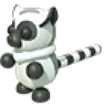 Ring-tailed Lemur