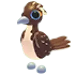 Roadrunner