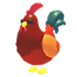 Rooster