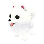 Samoyed