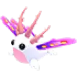 Sea Slug
