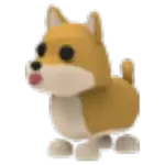 Shiba Inu