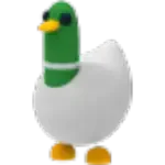 Silly Duck