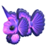 Singularity Pisces