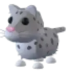 Snow Leopard