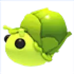 Sprout Snail