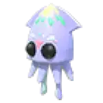 Squid