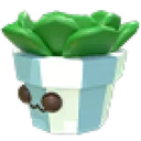 Succulent Plush