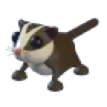 Sugar Glider