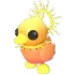 Sunrise Duckling