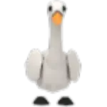 Swan