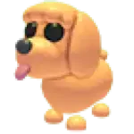 Toy Poodle