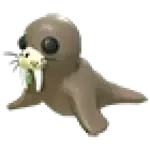 Walrus