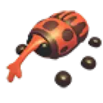 Weevil