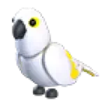White Amazon