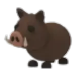 Wild Boar