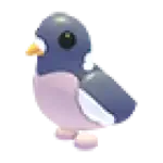 Wood Pigeon