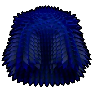 Blue Spikey Coat