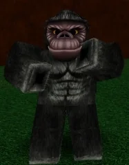 Gorilla